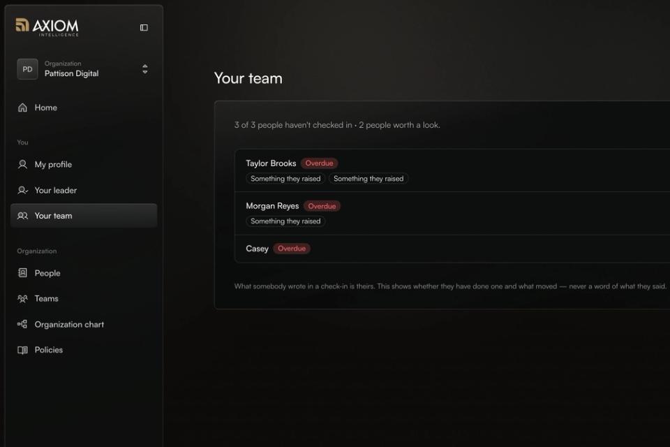 The Your team view, with overdue check-ins and things people raised