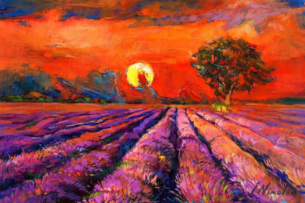 Lavender Under a Red Sky