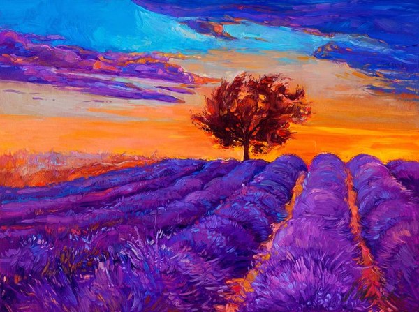 Лавандулово поле