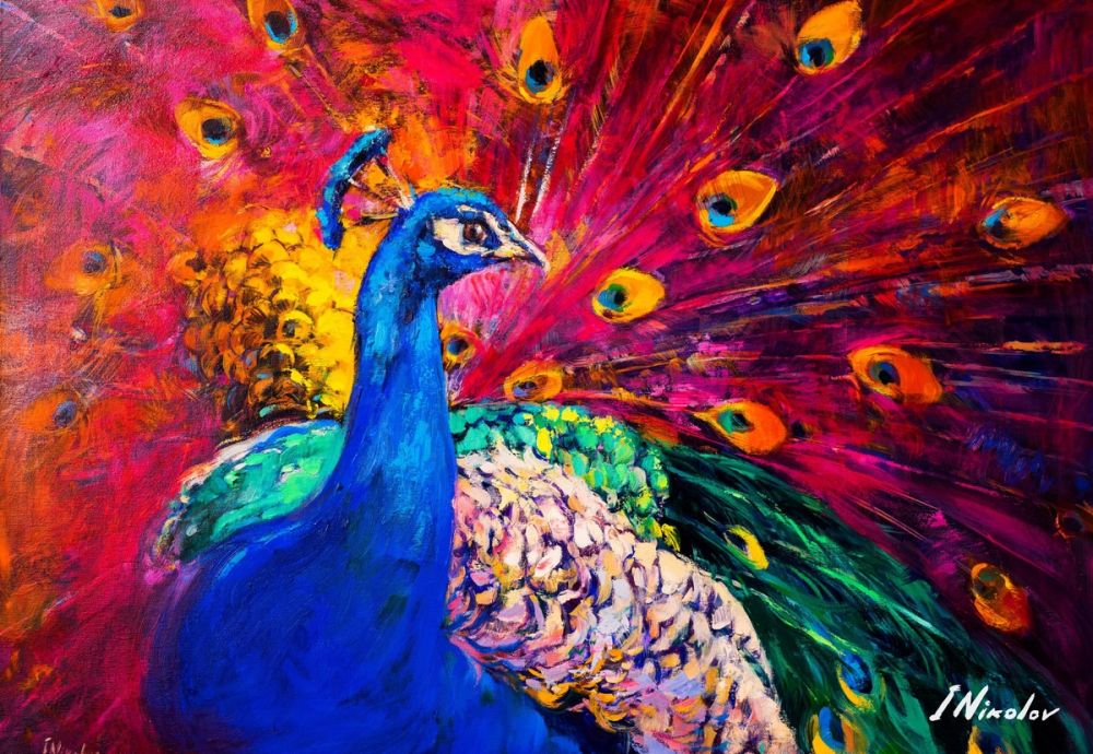 Peacock in Full Display