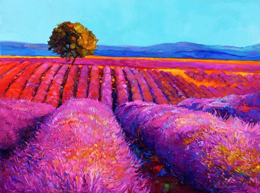 Tree in the Lavender Field