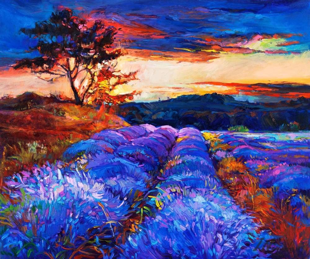 Lavender Field at Dusk