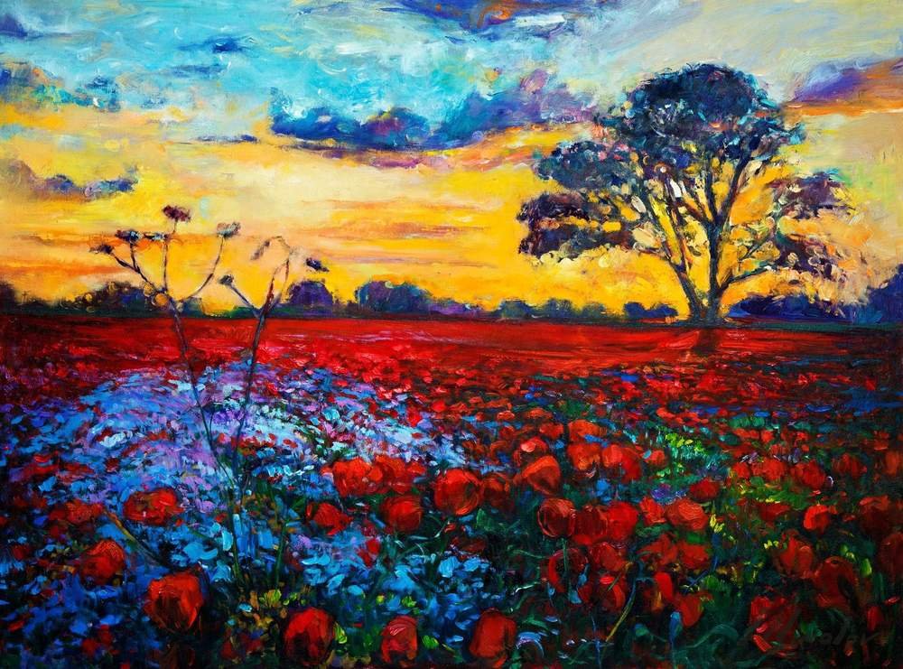 Poppies and Wildflowers
