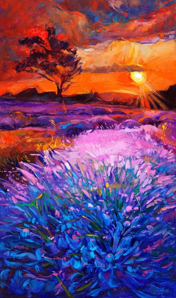 Blooming Lavender at Sunset — original oil painting by Ivailo Nikolov