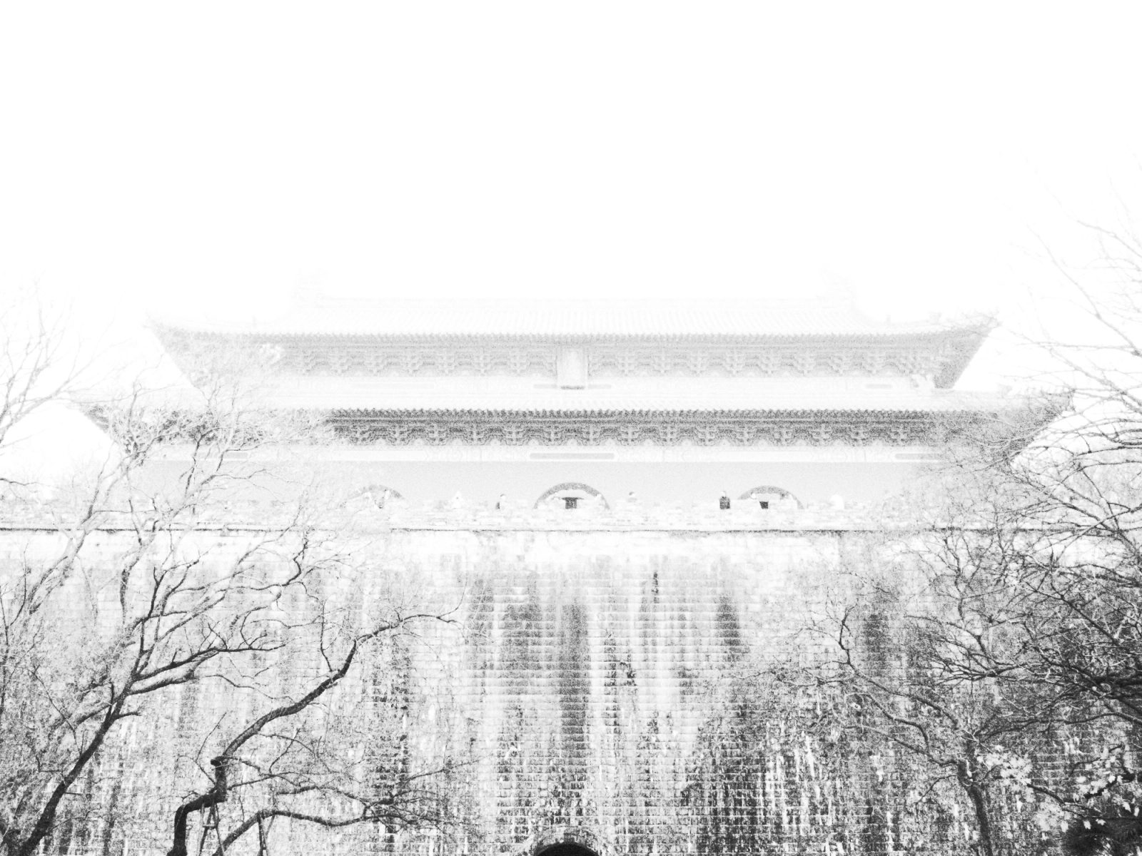 摄影作品集 2025-12 「陵」
