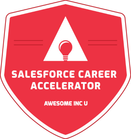 Salesforce Accelerator