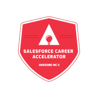 SalesForce Career Accelerator