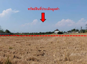 ที่ดินเปล่า 3