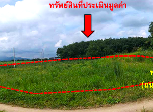 ที่ดินเปล่า 3