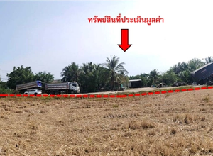 ที่ดินเปล่า 4