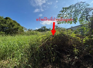 ที่ดินเปล่า 5