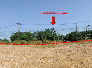ที่ดินเปล่า 5