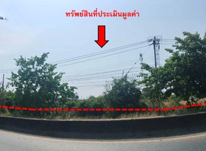 ที่ดินเปล่า 7