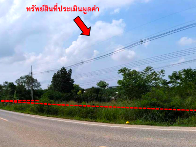 ที่ดินเปล่า จำนวน 1 แปลง
