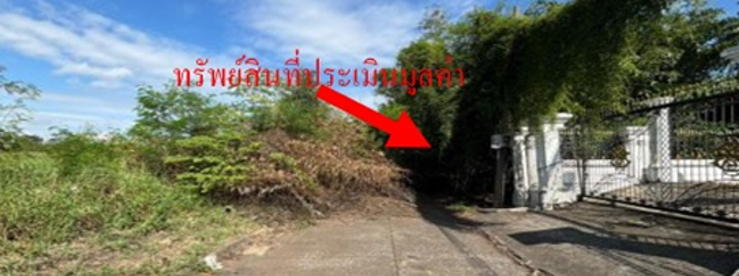 ที่ดินเปล่า