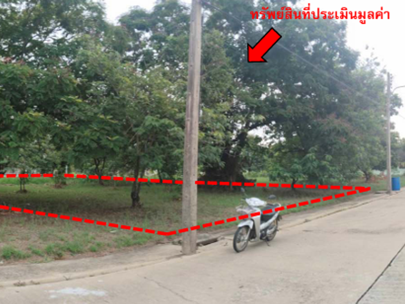 ที่ดินเปล่า จำนวน 1 แปลง