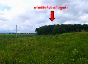 ที่ดินเปล่า 4