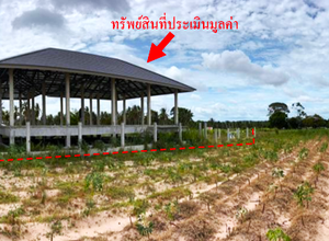 ที่ดินเปล่า จำนวน 1 แปลง 7