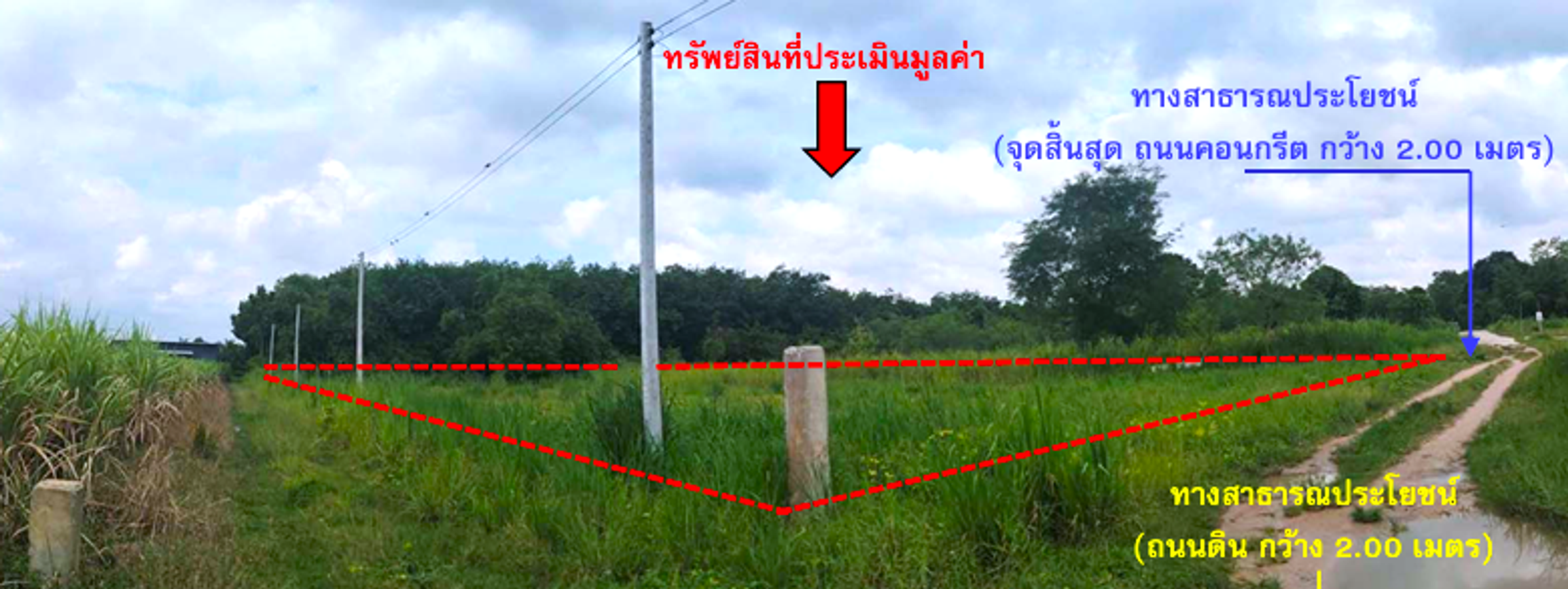ที่ดินเปล่า