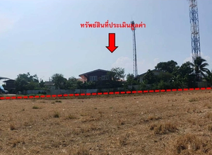 ที่ดินเปล่า 6