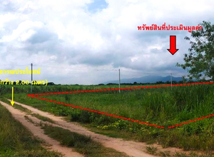 ที่ดินเปล่า 2