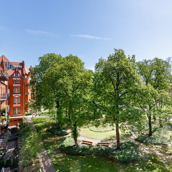 Garden trees buildings paths