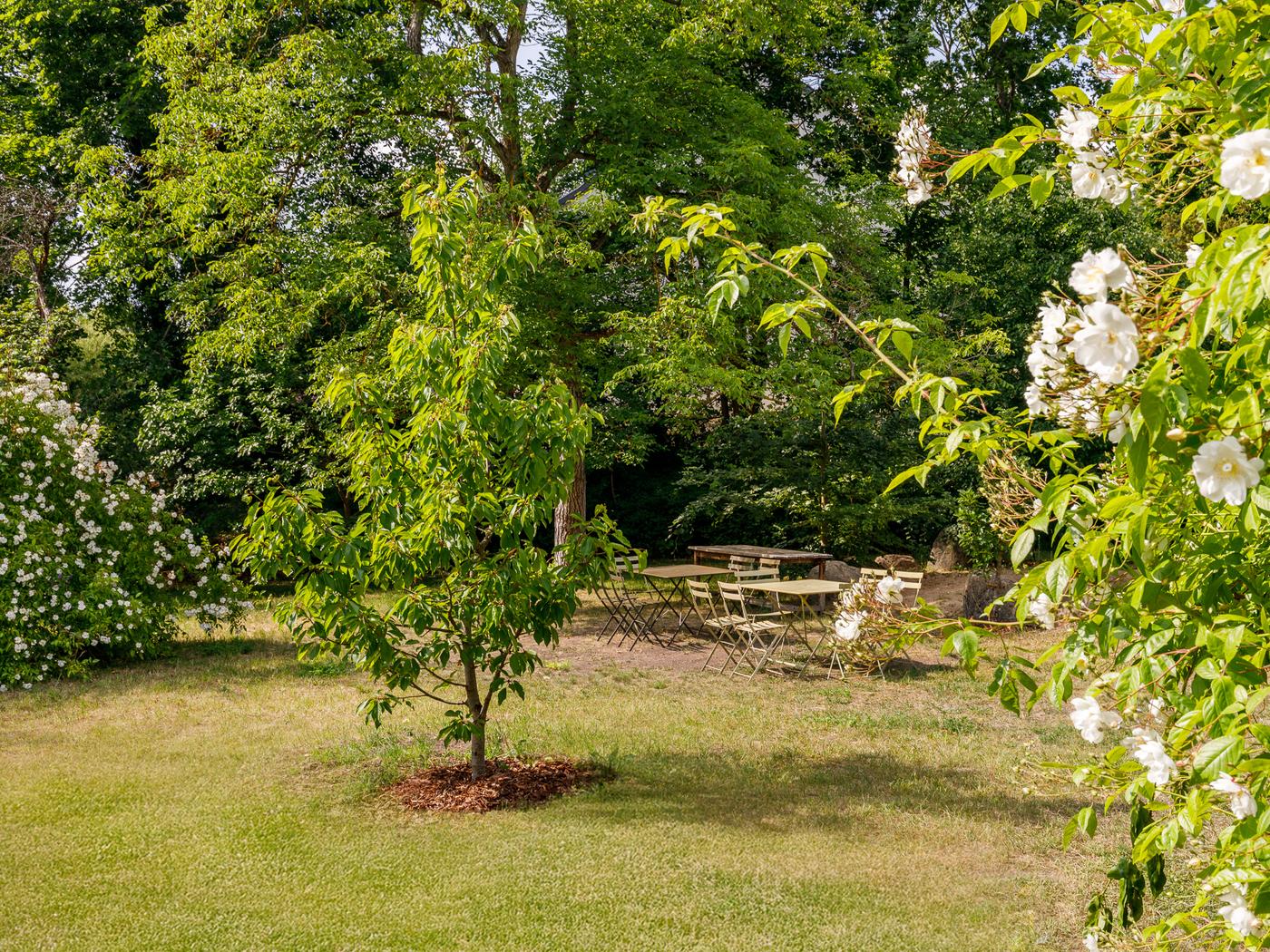 Charmante Remise im UNESCO-Weltkulturerbe: Kamin, Terrasse & idyllische Lage zwischen Jagdschloss Glienicke & Griebnitzsee