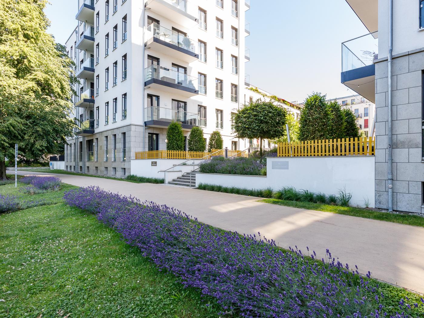 Direkter Zugang zum Spreebogen Direkter Zugang zum Spreebogen