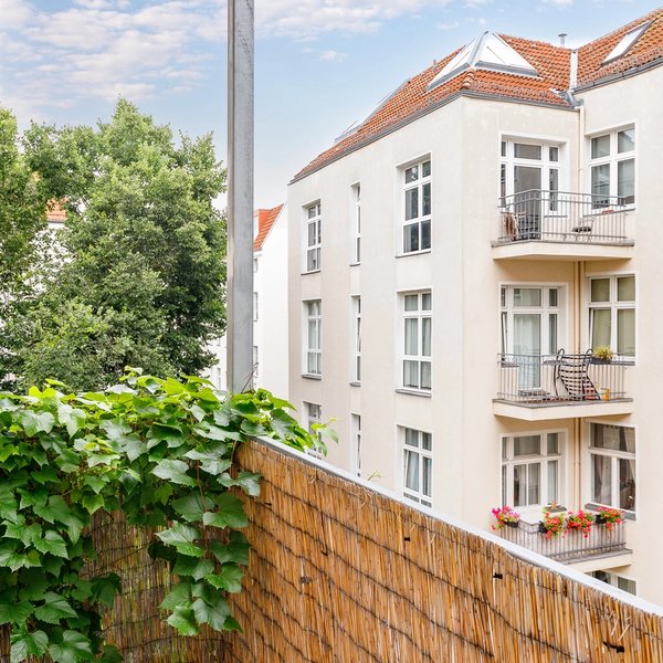Balkon Sichtschutz Begrünung Nachbarfassade