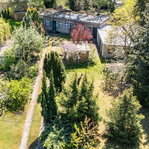 Vogelperspektive Bäume Altbestand Grundstück