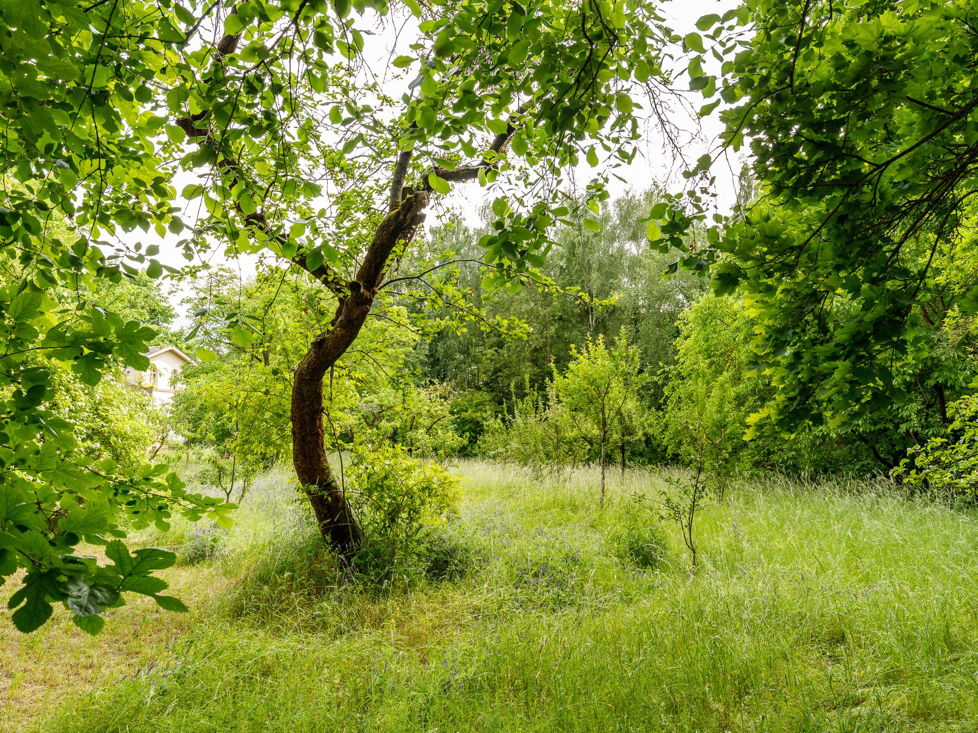 Charmante Remise im UNESCO-Weltkulturerbe: Kamin, Terrasse & idyllische Lage zwischen Jagdschloss Glienicke & Griebnitzsee