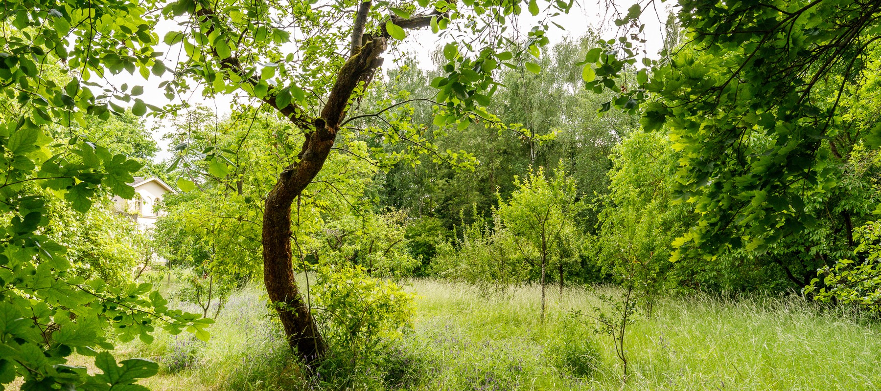 Charmante Remise im UNESCO-Weltkulturerbe: Kamin, Terrasse & idyllische Lage zwischen Jagdschloss Glienicke & Griebnitzsee