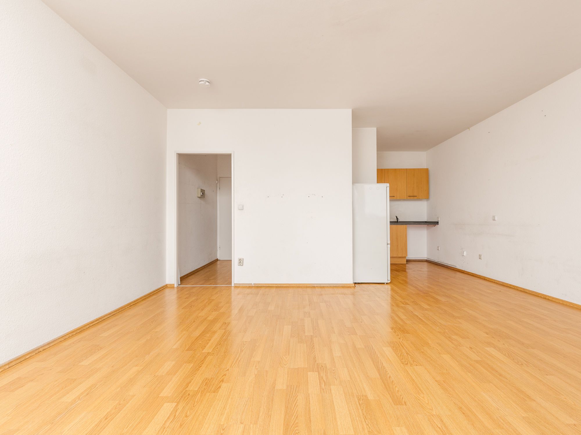 Studio-Apartment mit Pantry-Küche