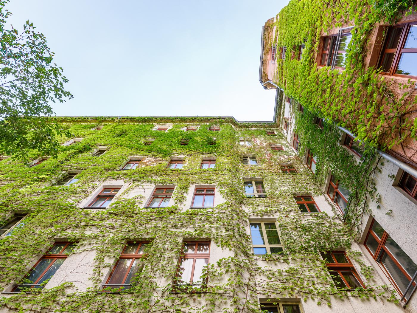 Stillvoller Jugendstil-Altbau Stillvoller Jugendstil-Altbau