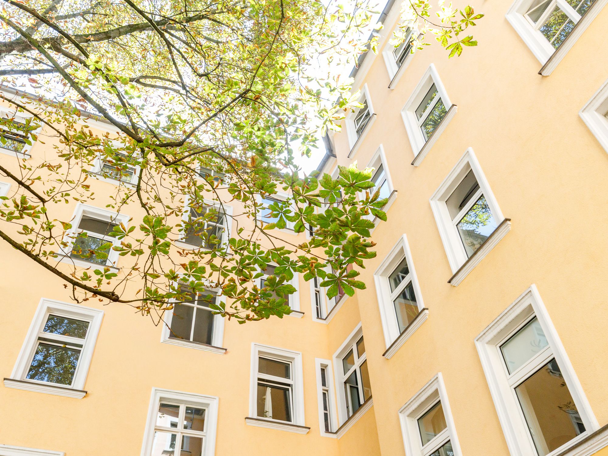 View of the house from the courtyard 