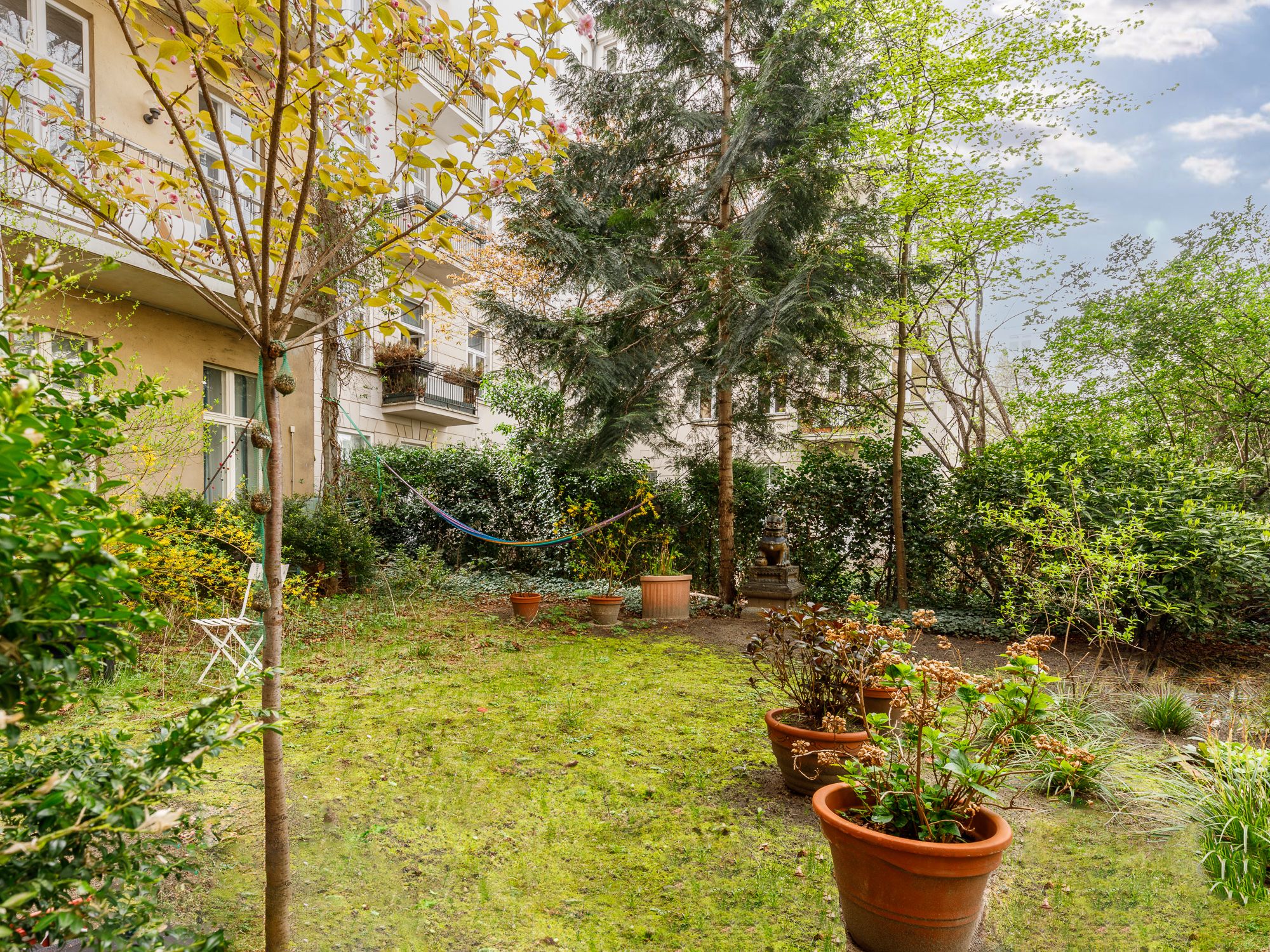 Begrünter im Hinterhof 