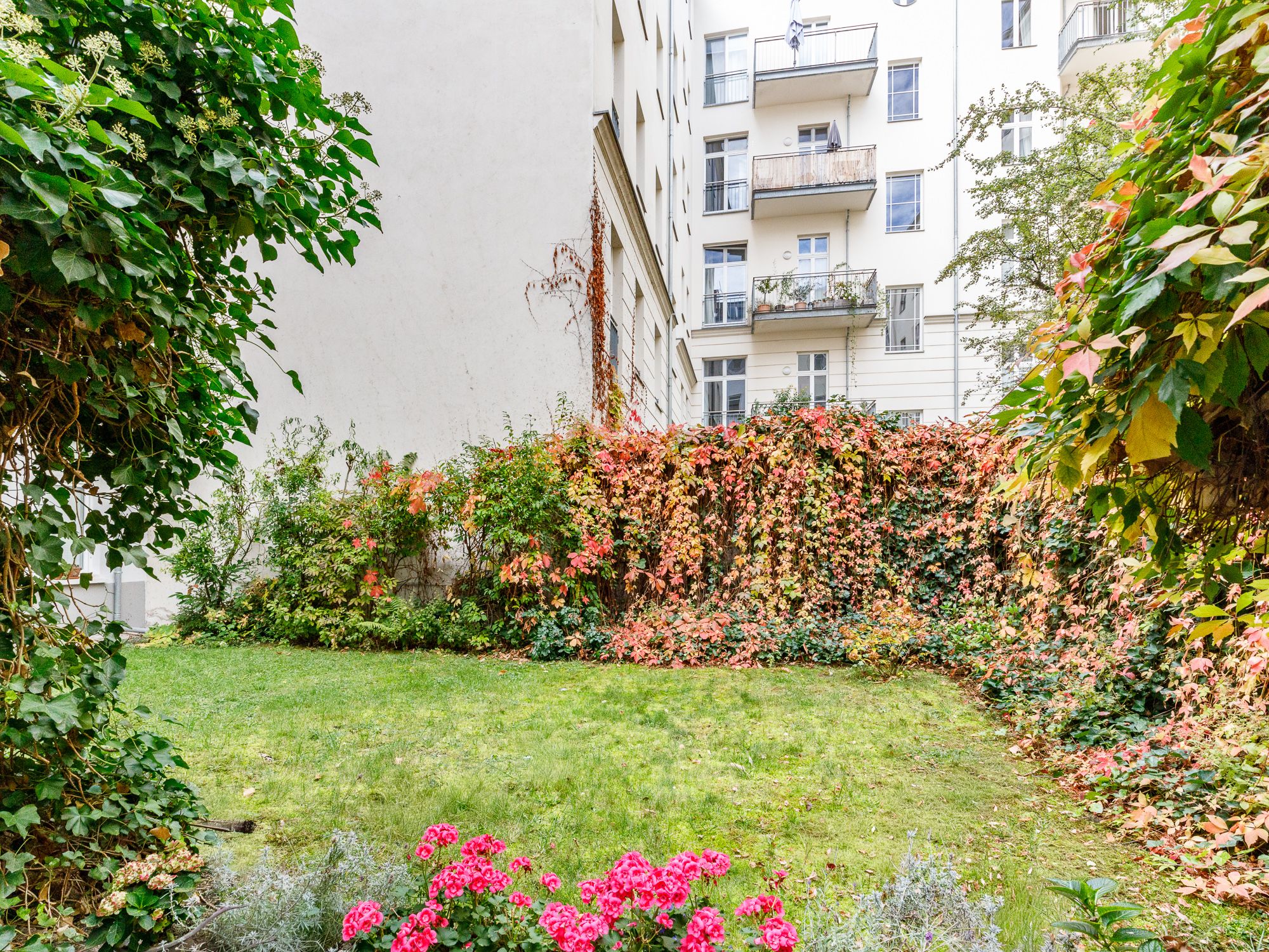 Cosy communal garden