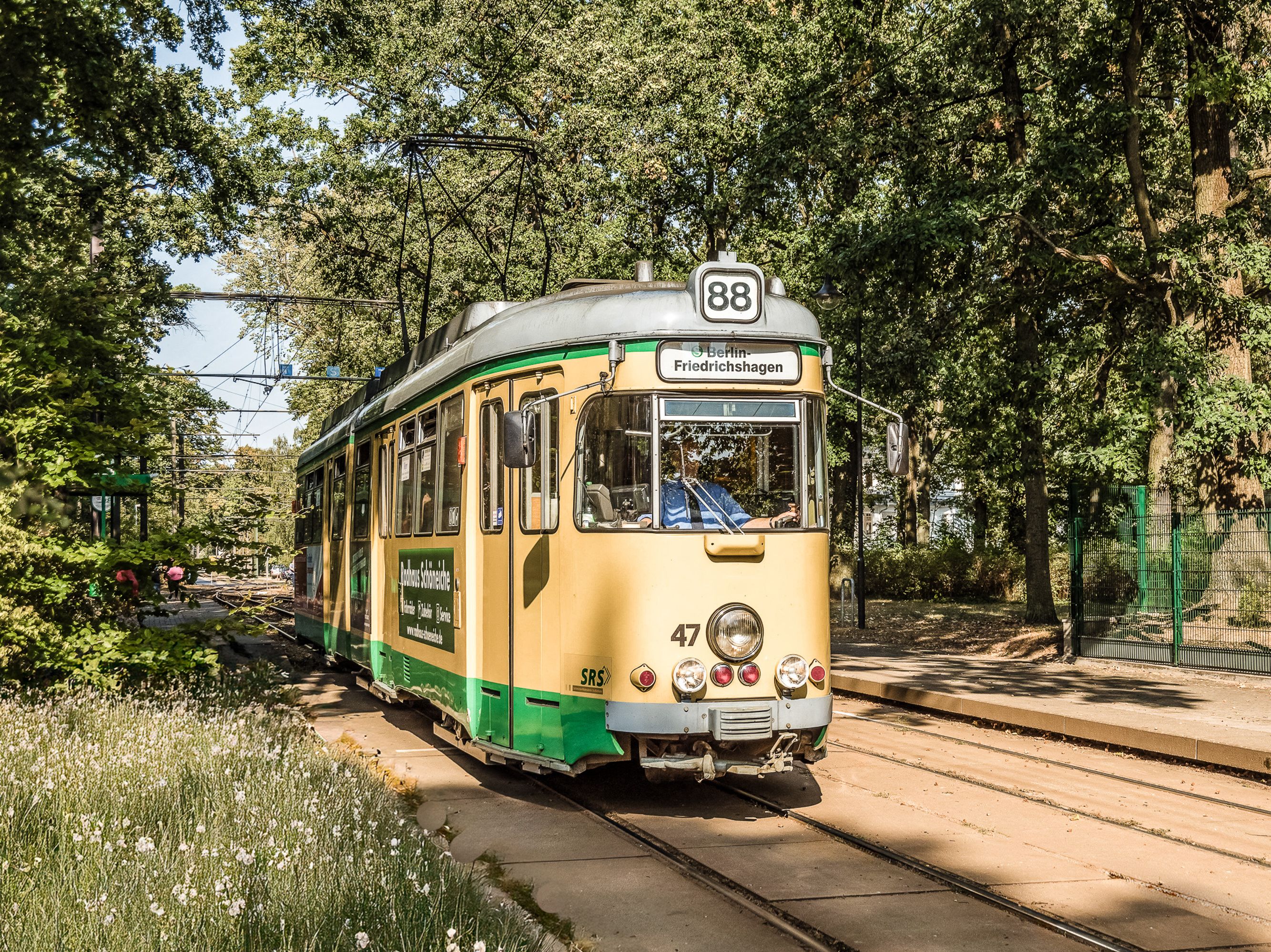 Schöneiche bei Berlin Bild 3