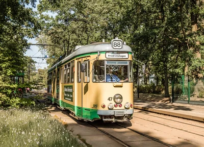 Schöneiche bei Berlin Bild 3