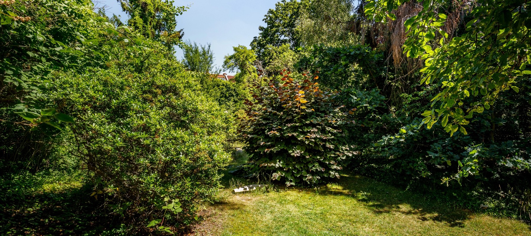 Sonnengarten mit herrlichem Baumbestand Sonnengarten mit herrlichem Baumbestand