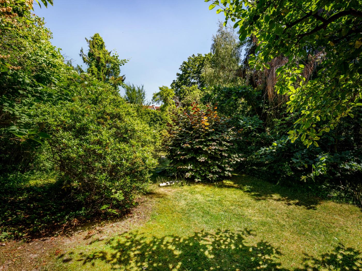 Sonnengarten mit herrlichem Baumbestand  Sonnengarten mit herrlichem Baumbestand