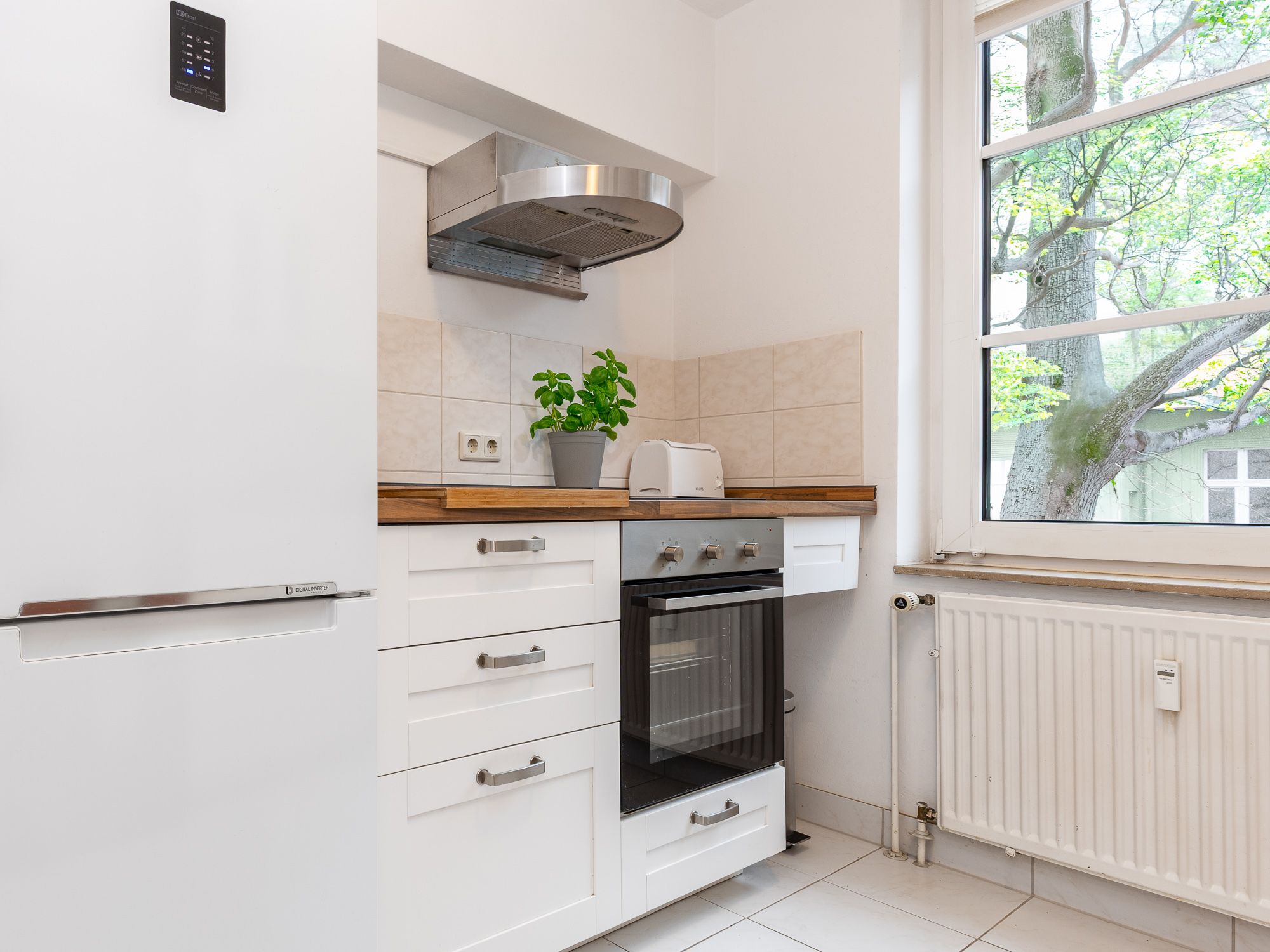 Modern built-in kitchen with appliances 