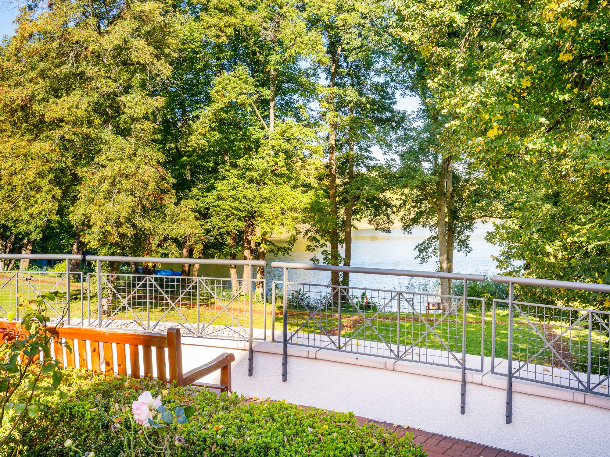 View from the house to the lake 