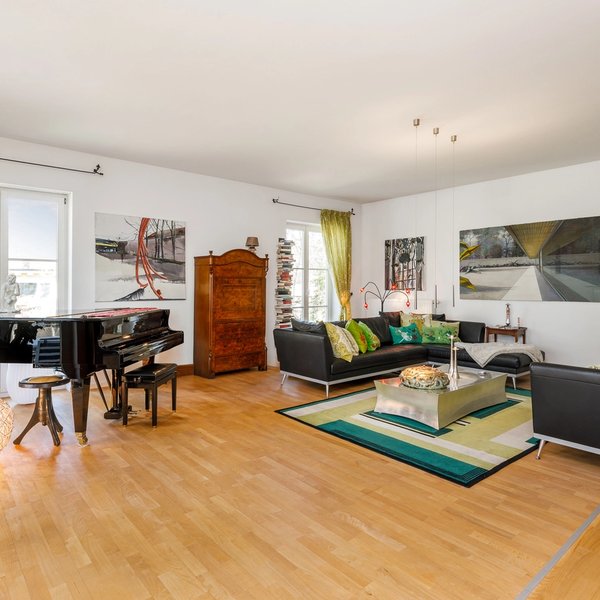 Living room piano sofa rug