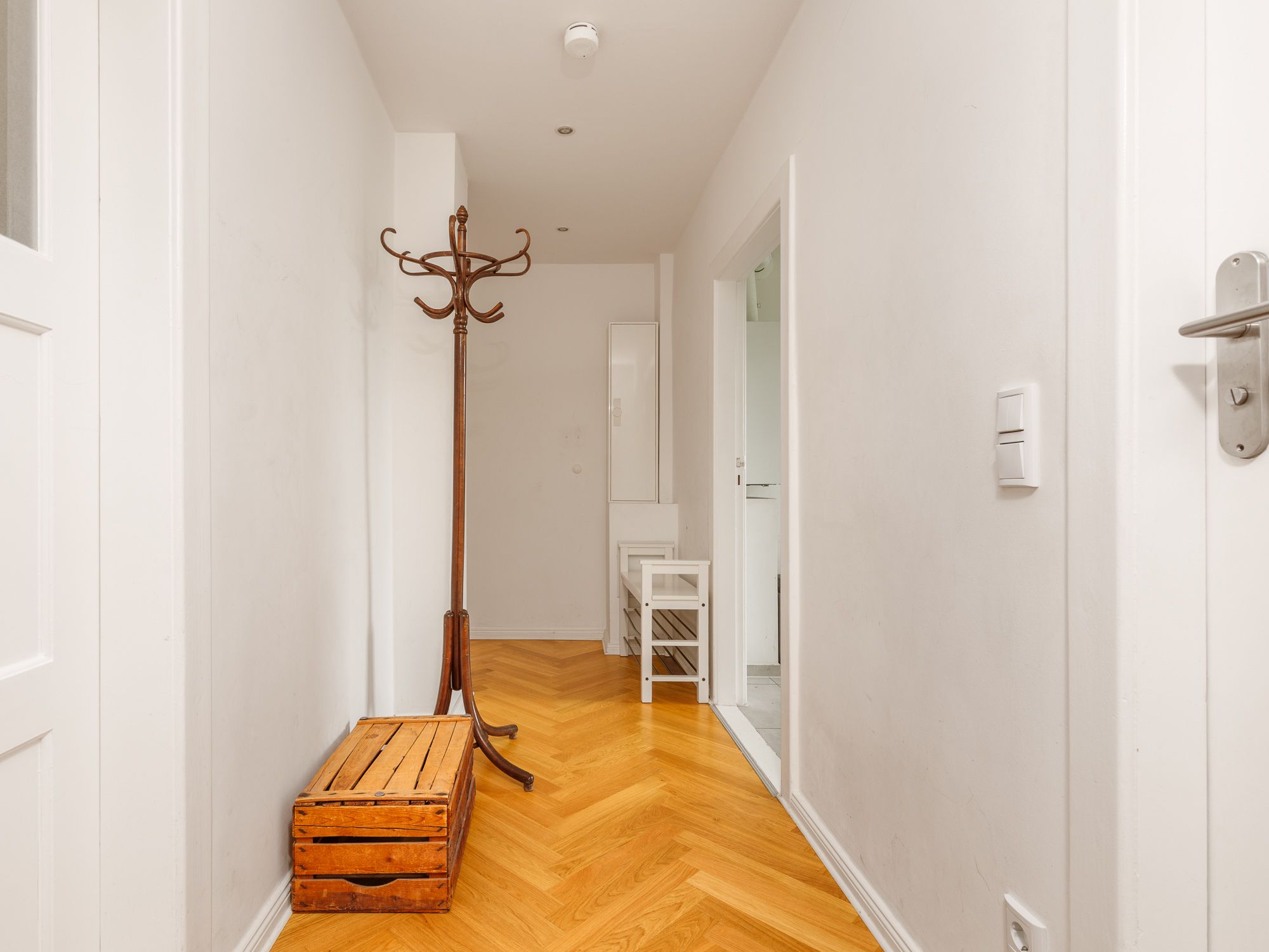 Entrance area of the apartment 