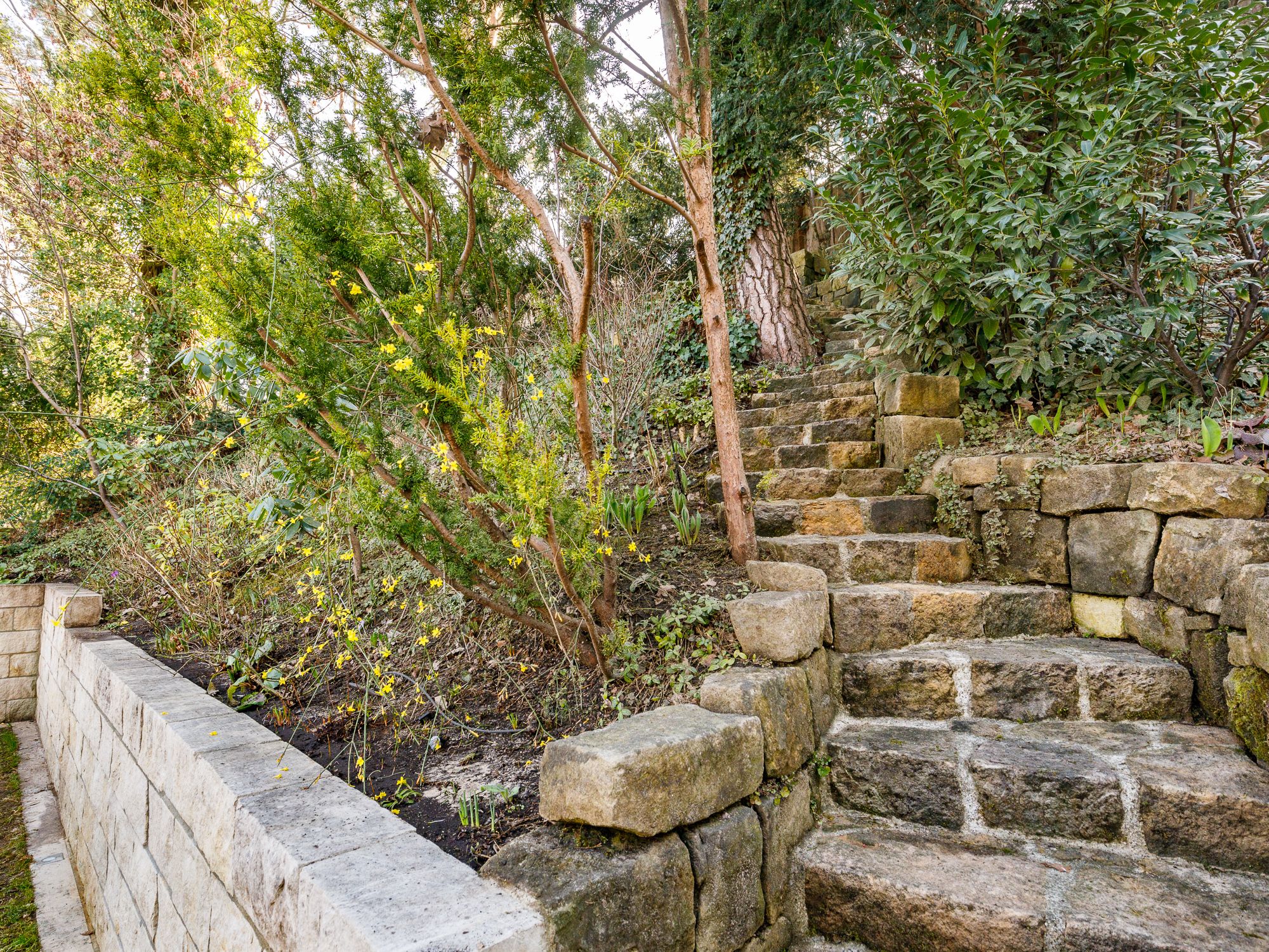 Zugang zum Gartenhaus