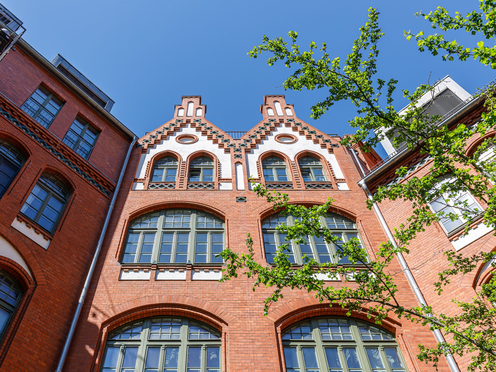 Historische Ornamente und Stuckverzierungen 
