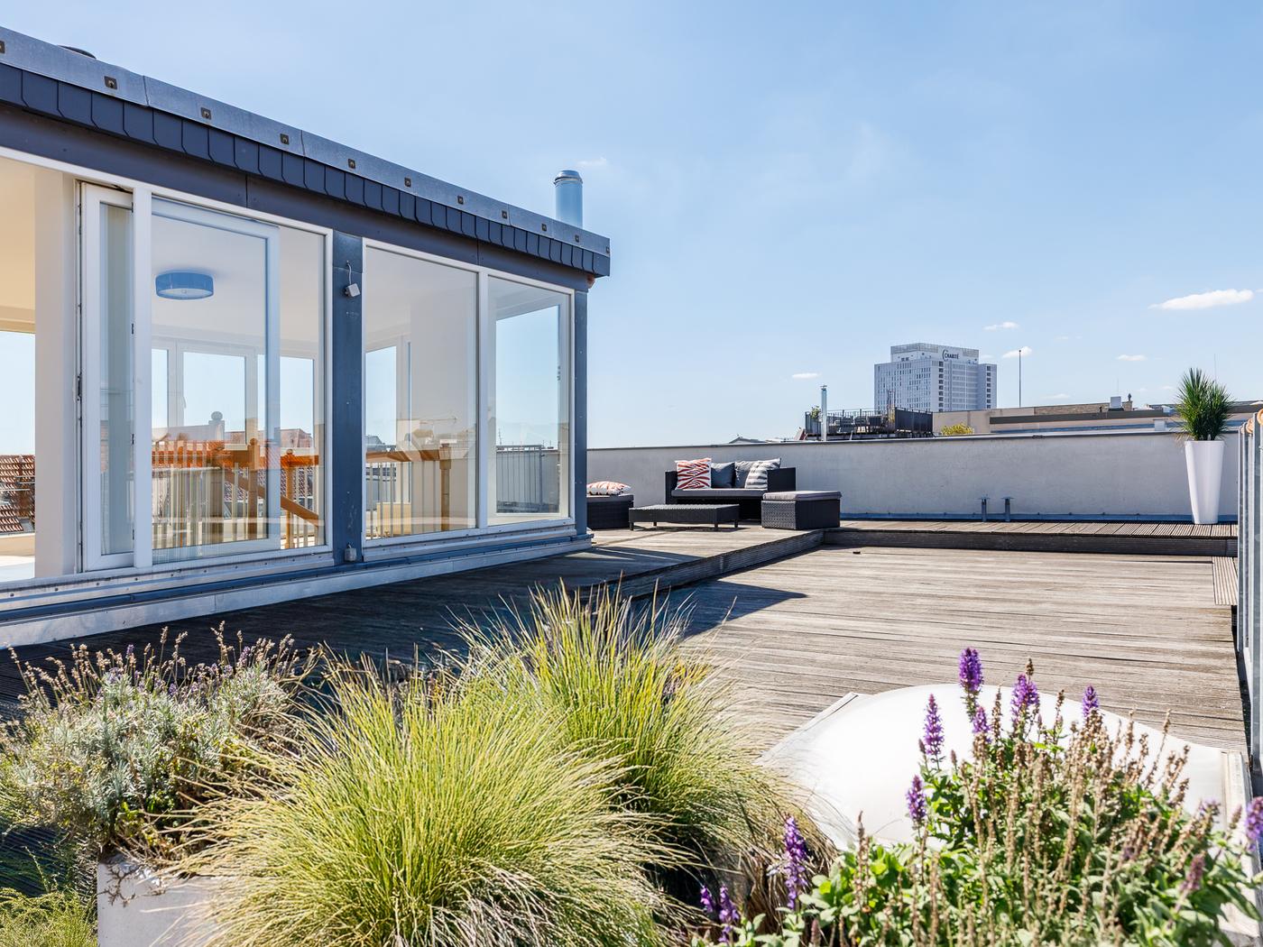Traumhafter Dachgarten mit Blick auf den Fernsehturm Traumhafter Dachgarten mit Blick auf den Fernsehturm