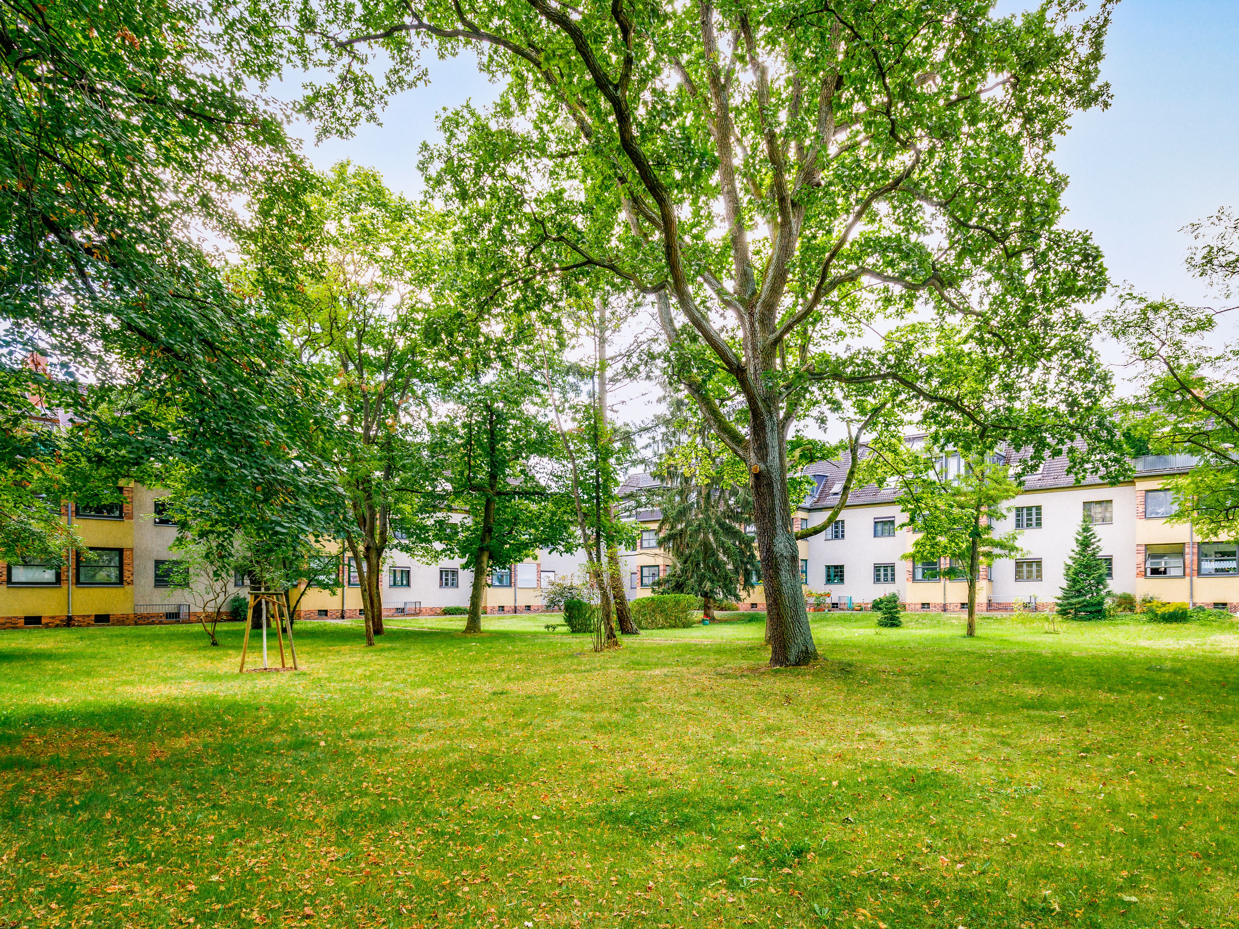 Blick von der Wohnung in den begrünten Innenhof 