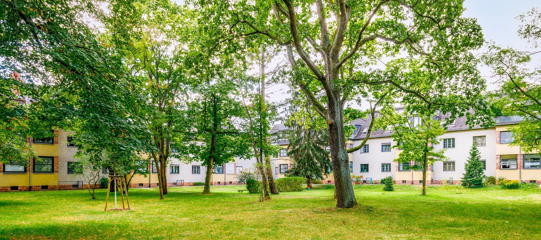 Blick von der Wohnung in den begrünten Innenhof Blick von der Wohnung in den begrünten Innenhof